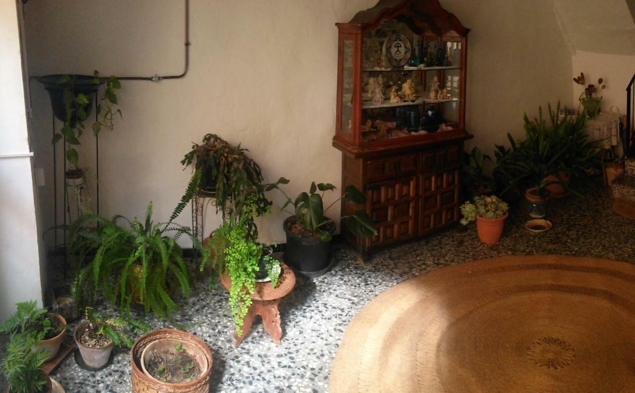 Apartament Rural Vilaplana Buitenkant foto